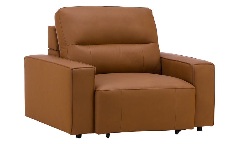 Slide Leather Chair